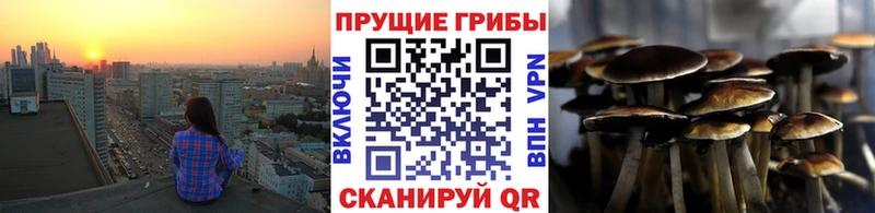 Галлюциногенные грибы прущие грибы  магазин    Лагань 